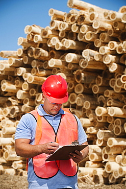 Engineer in front of stack of timber