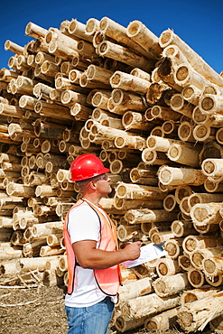 Engineer in front of stack of timber