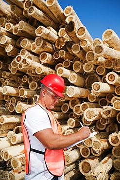 Engineer in front of stack of timber