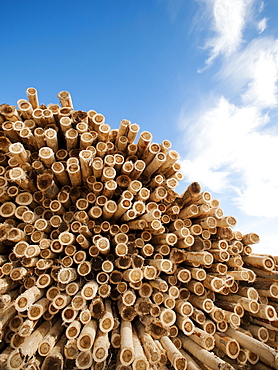 Stack of timber against blue sky