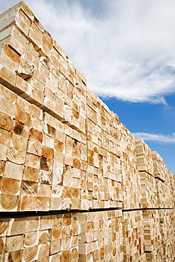 Orderly stack of timber