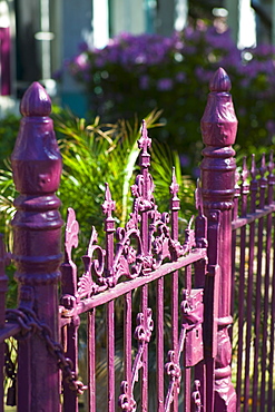 Pink iron fence