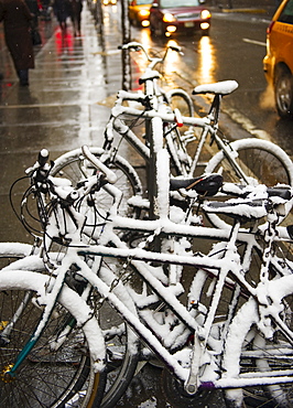 Bicycles covered in snow