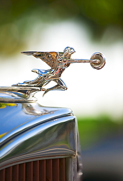 Hood ornament on classic car