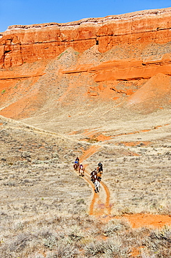 Horseback riders on trail