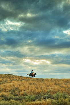 Horseback rider