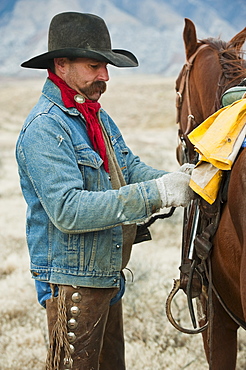 Man adjusting saddle on horse