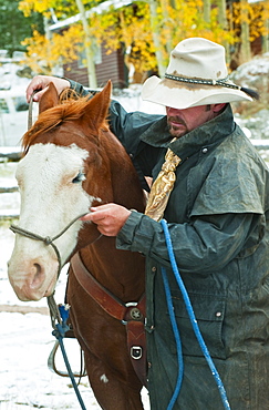 Man putting bridle on horse