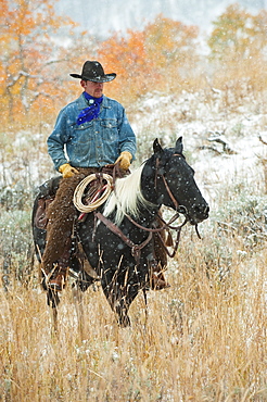 Horseback rider