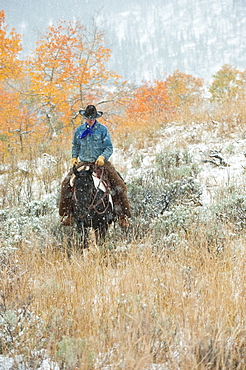 Horseback rider