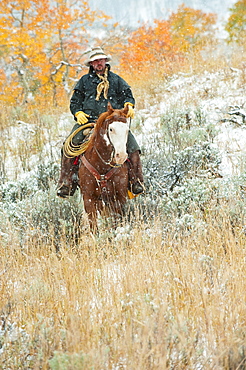 Horseback rider