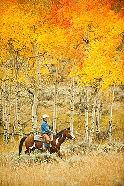 Horseback rider