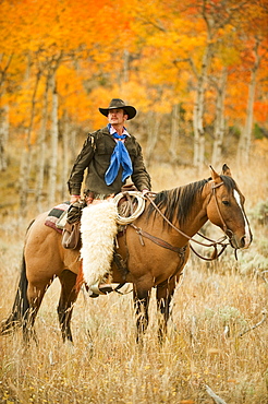 Horseback rider