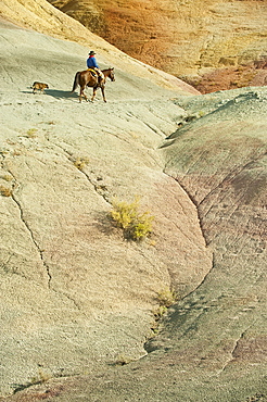 Horseback rider