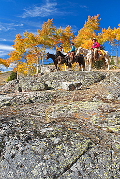 Horseback riders