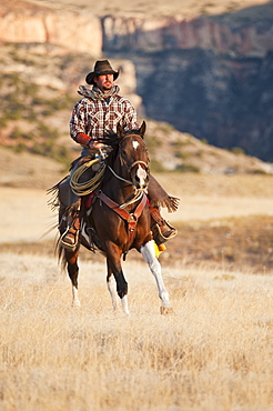 Horseback rider