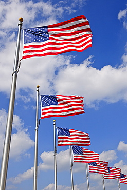 American flags