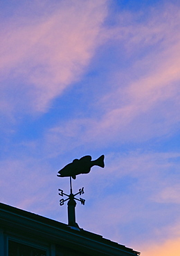 Fish weathervane