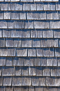 Shingle siding