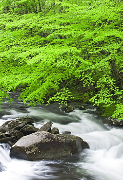 Flowing creek