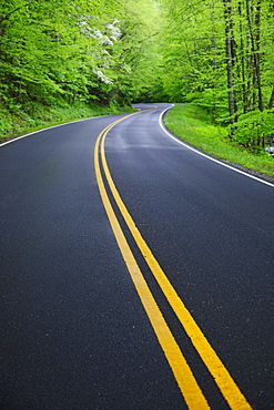 A scenic and empty road