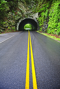 A scenic and empty road with tunnel