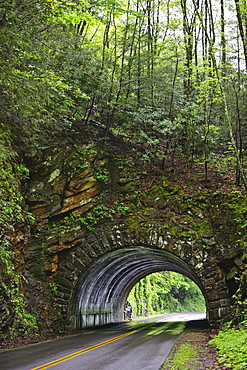 A scenic and empty road with tunnel