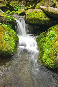 Flowing creek