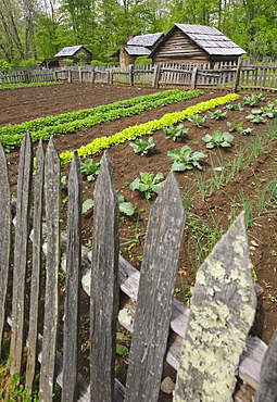 A vegetable garden at Smoky Mountain National Park