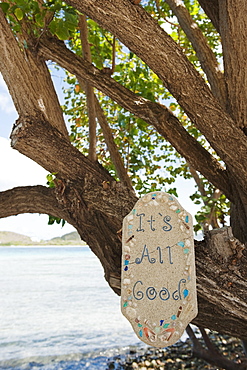 Optimistic sign on tropical tree