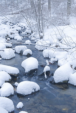 Snowy stream in winter