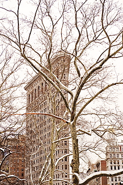 Flatiron Building, Manhattan, New York City, New York, USA