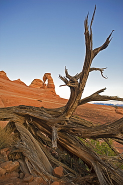 Delicate Arch of Arches National Park, Utah