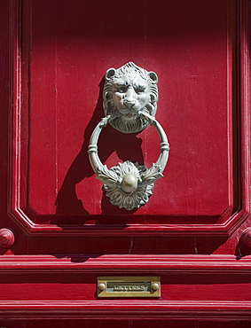 Decorative door knocker