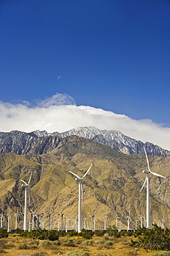 Wind farm in front of mountains, Palm Springs, California, United States