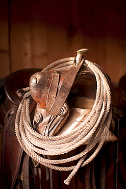 Close-up of saddle with rope