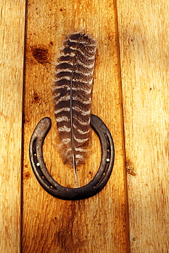 Feather and horse shoe on wooden wall