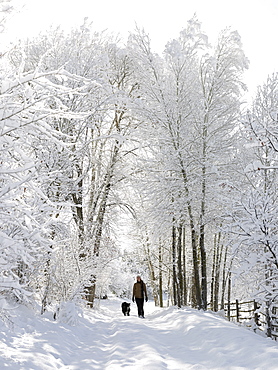 USA, Colorado, woman and dog on snowy road