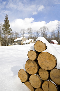 USA, New Jersey, Stack of timber in winter scenery