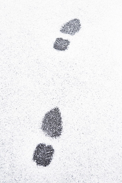 USA, New Jersey, Footprints in snow