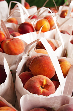 USA, Virginia, Charlottesville, bags with peaches