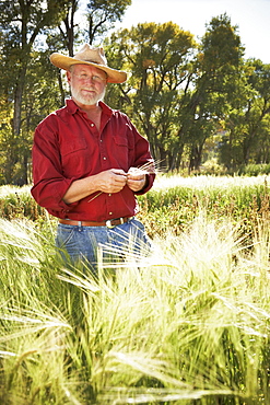 USA, Colorado, Aspen, portrait of male farmer in field