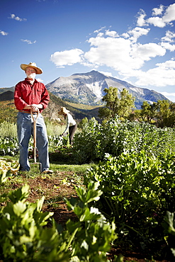 USA, Colorado, Aspen, farmers working in field