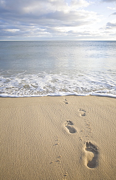 USA, Massachusetts, Cape Cod, footprints on beach at sunset