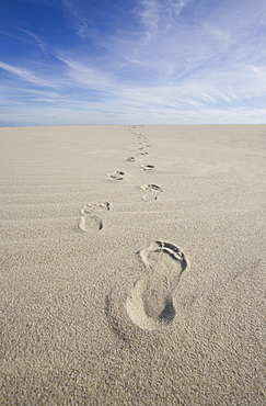 USA, Massachusetts, Cape Cod, footprints on beach 