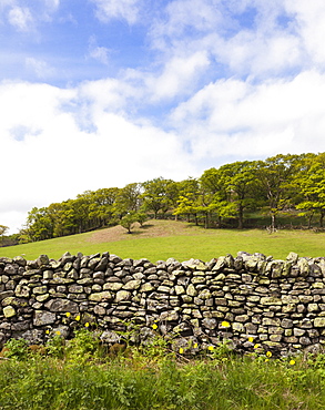 Dry stone wall and field