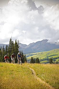 Men mountain biking on trail