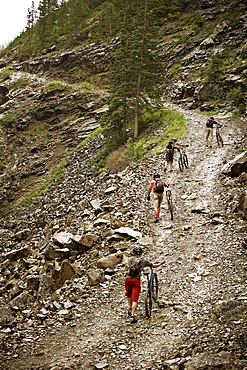 Mountain bikers pushing bikes up hill