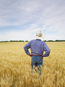 Farmer standing in wheat field