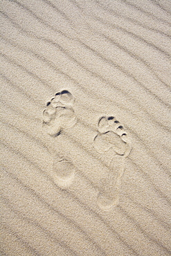 Footprints in the sand